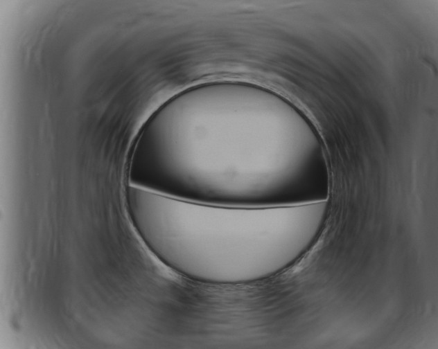 X0000097791533200803070924