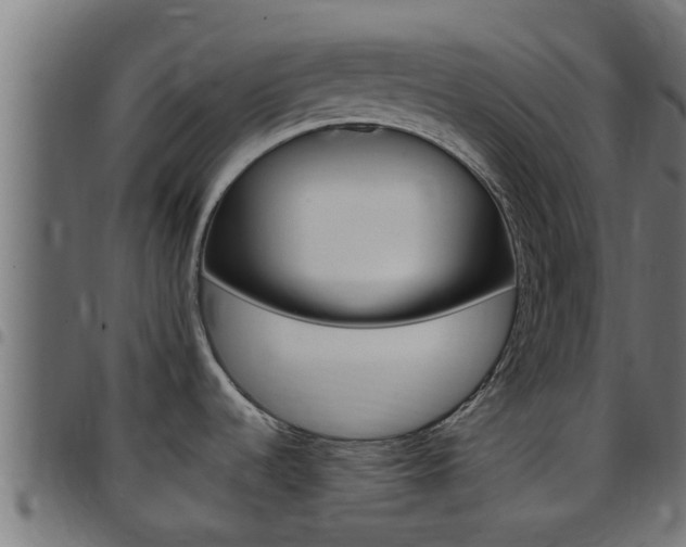 X0000097791536200803070924