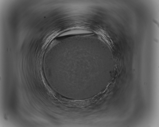 X0000097790001200803071422