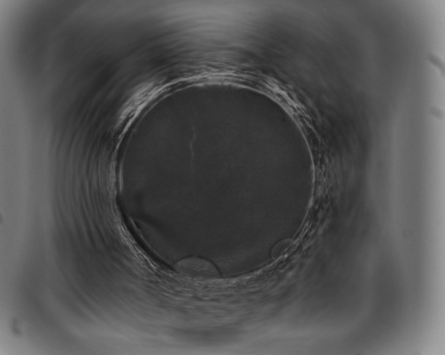 X0000097790002200803071422
