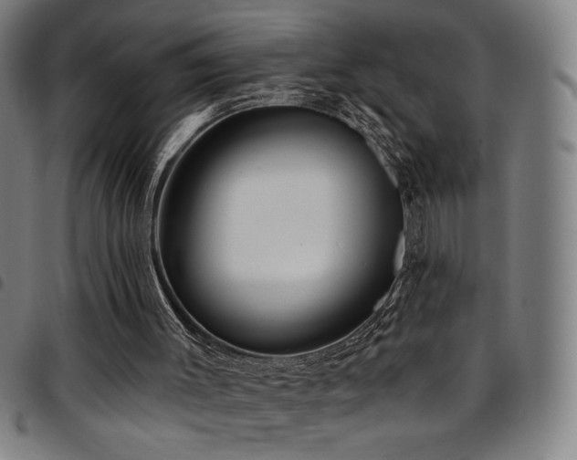 X0000097790003200803071422