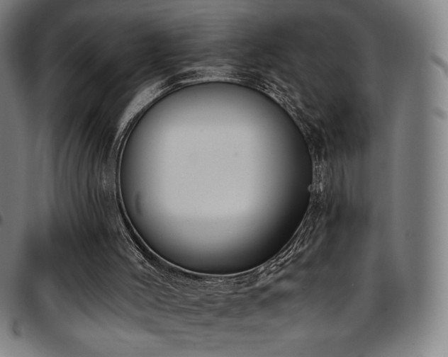 X0000097790004200803071422