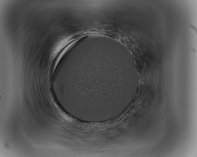 X0000097790005200803071422