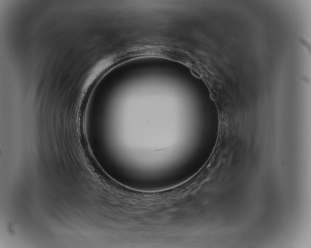X0000097790006200803071422