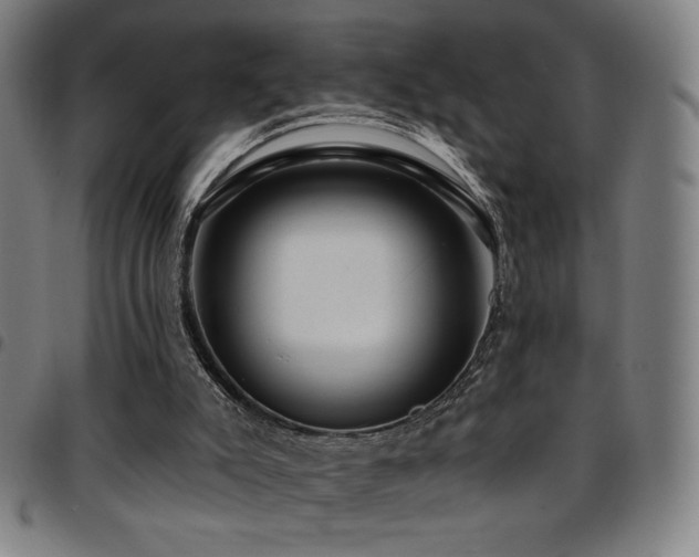 X0000097790007200803071422