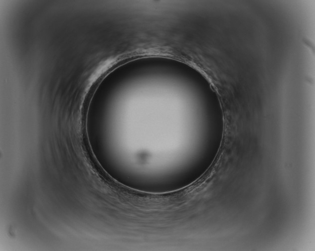 X0000097790008200803071422