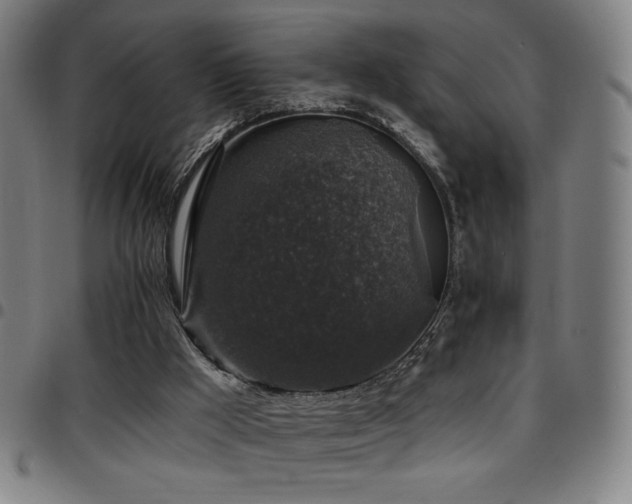 X0000097790009200803071422