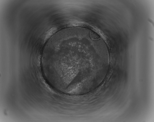 X0000097790010200803071422