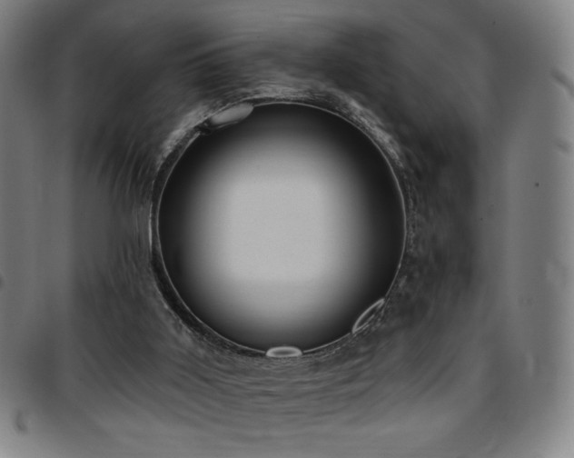 X0000097790011200803071422