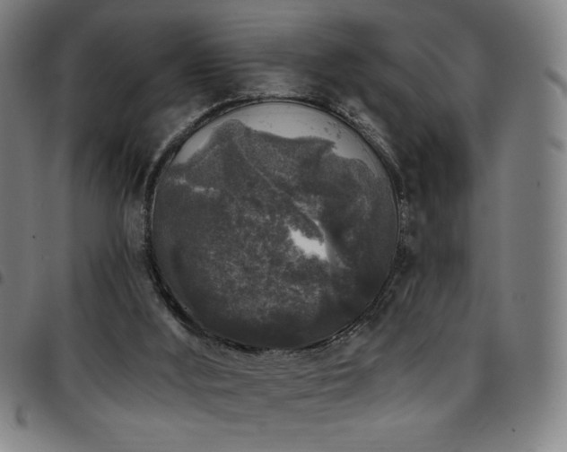 X0000097790012200803071422