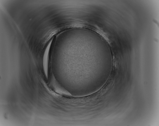 X0000097790013200803071422