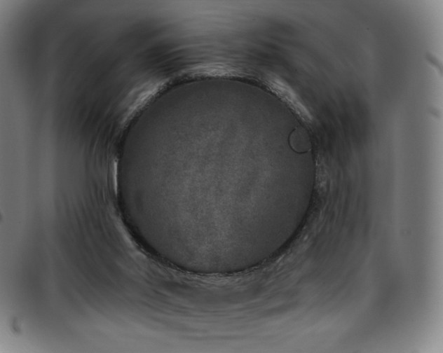 X0000097790014200803071422