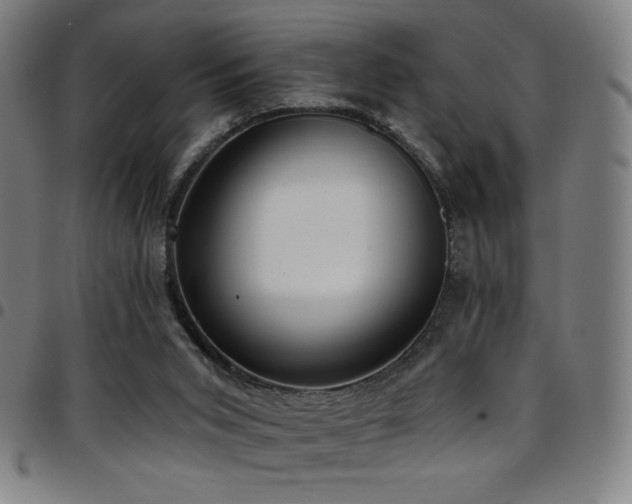 X0000097790015200803071422