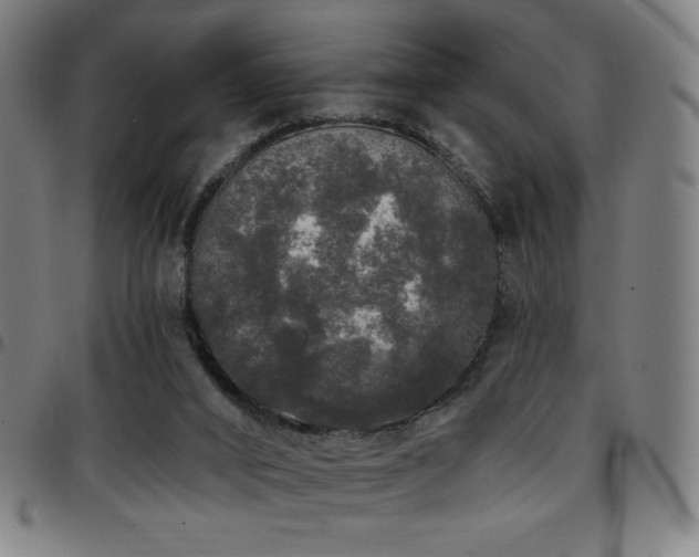 X0000097790016200803071422