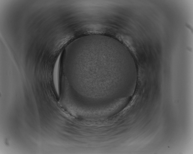 X0000097790017200803071422