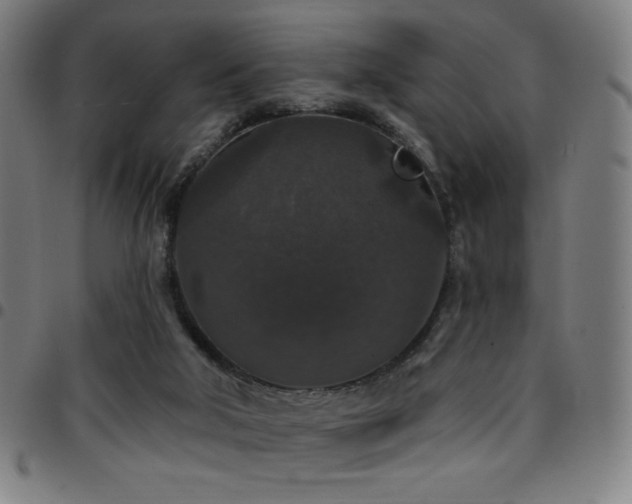 X0000097790018200803071422