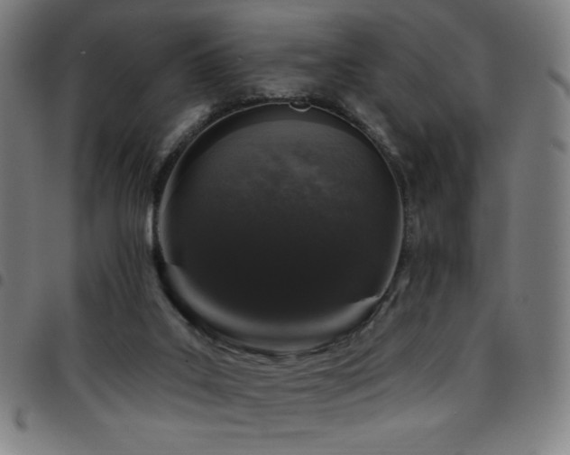 X0000097790019200803071422