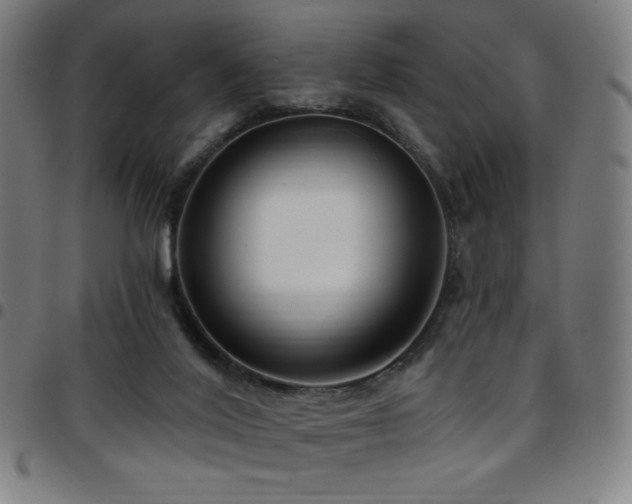 X0000097790020200803071422