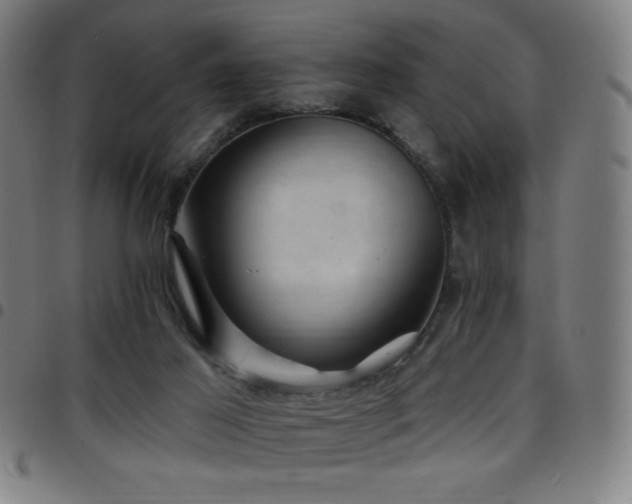 X0000097790021200803071422
