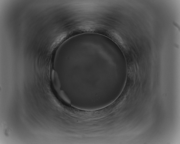 X0000097790023200803071422