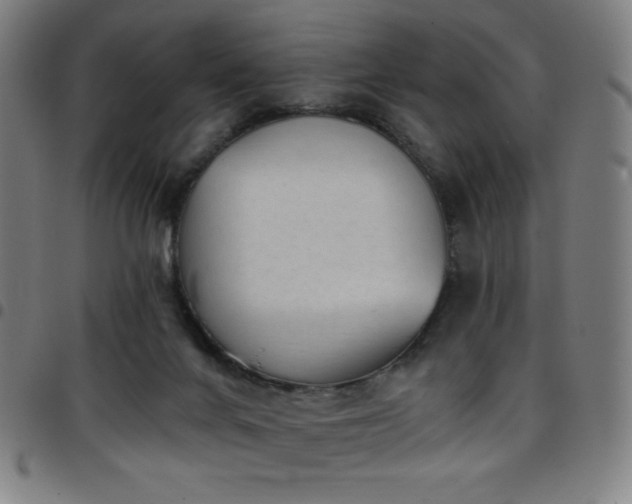 X0000097790024200803071422