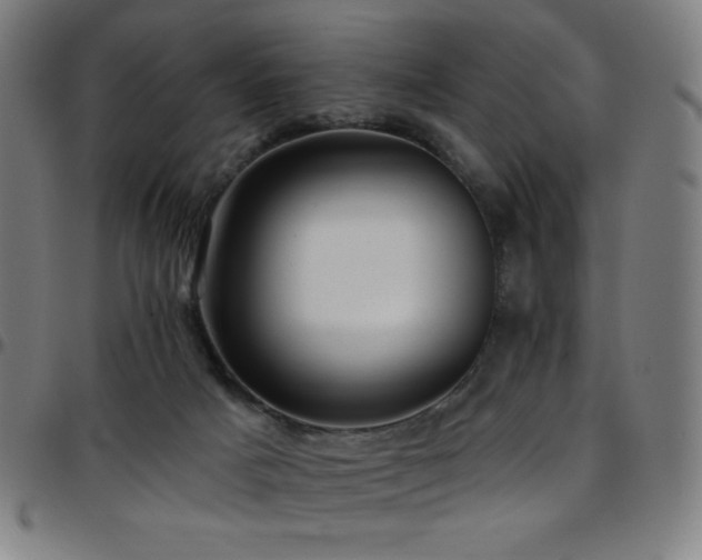 X0000097790025200803071422