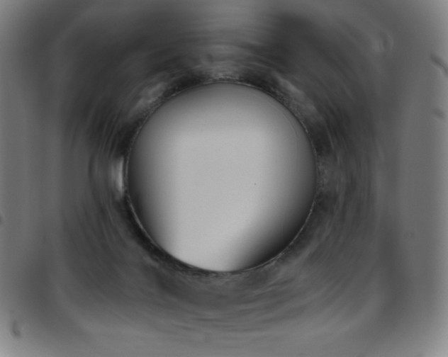X0000097790028200803071422