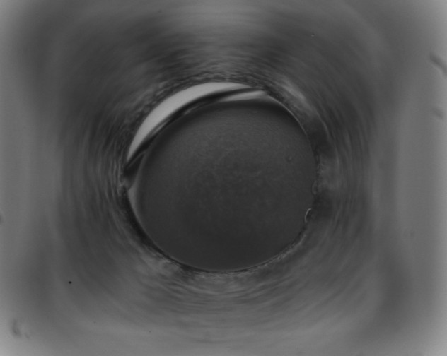 X0000097790029200803071422