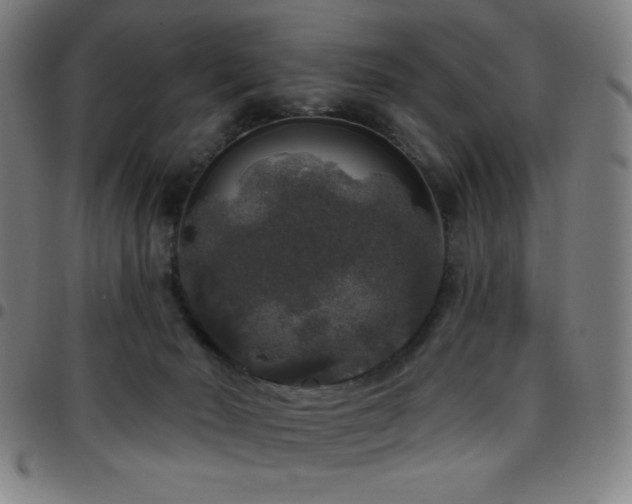 X0000097790030200803071422