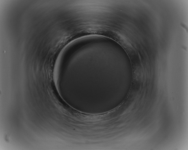 X0000097790031200803071422