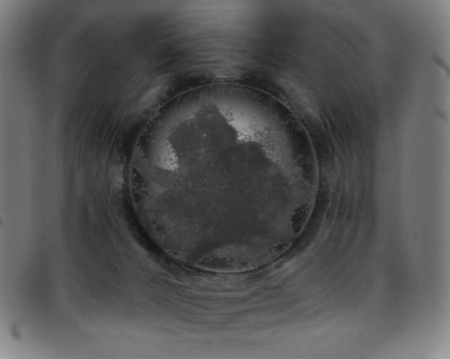 X0000097790032200803071422