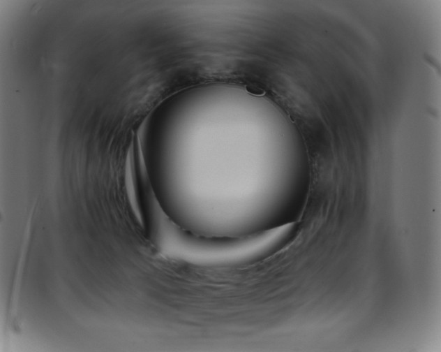 X0000097790033200803071422