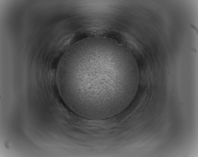 X0000097790034200803071422