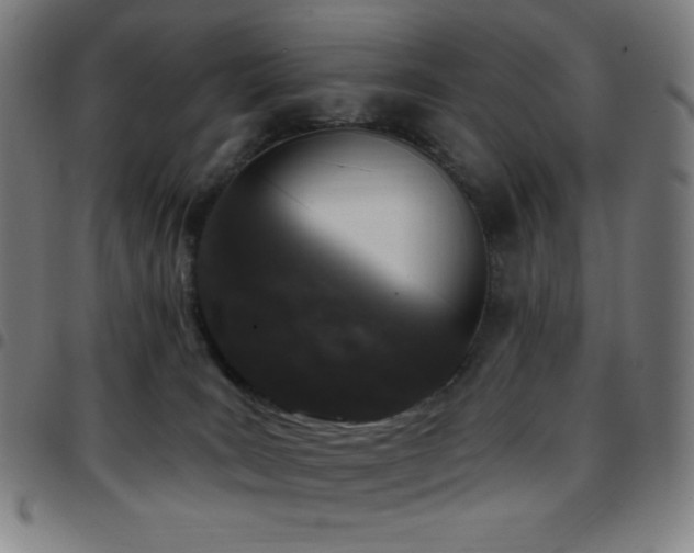 X0000097790035200803071422