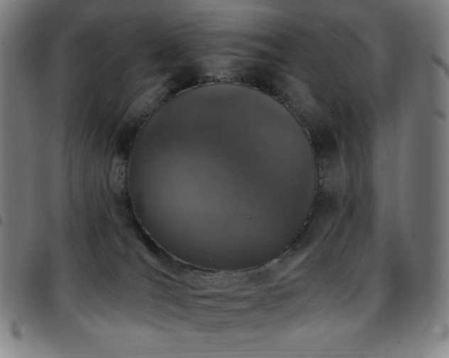 X0000097790036200803071422