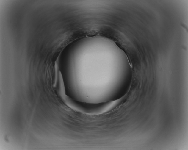 X0000097790037200803071422
