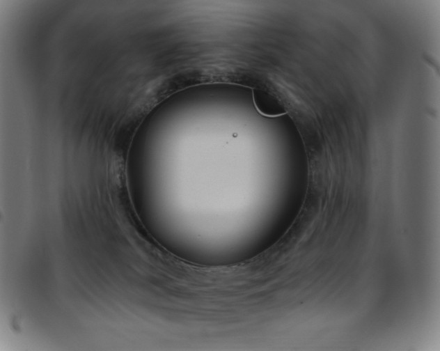 X0000097790038200803071422