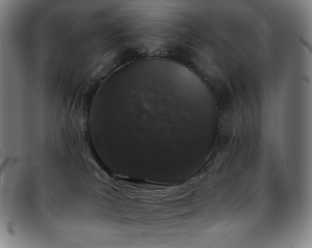 X0000097790039200803071422
