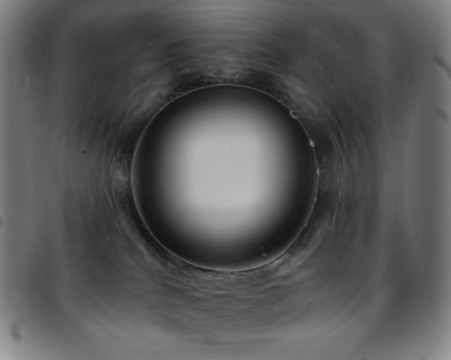 X0000097790040200803071422