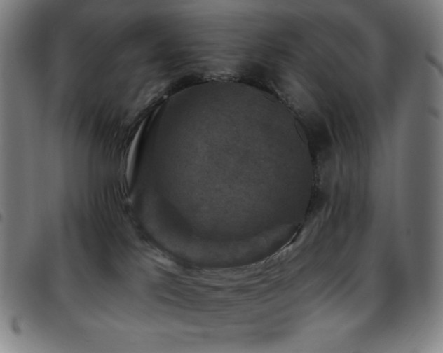 X0000097790041200803071422