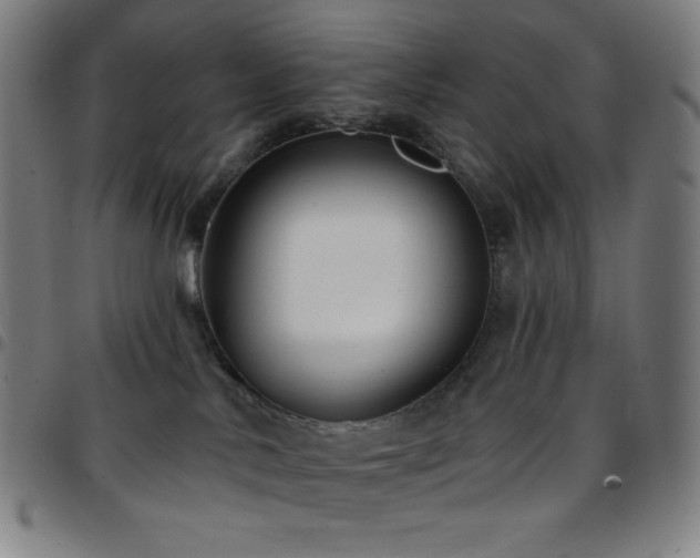 X0000097790042200803071422