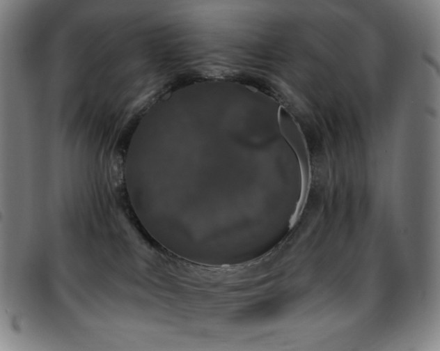 X0000097790043200803071422