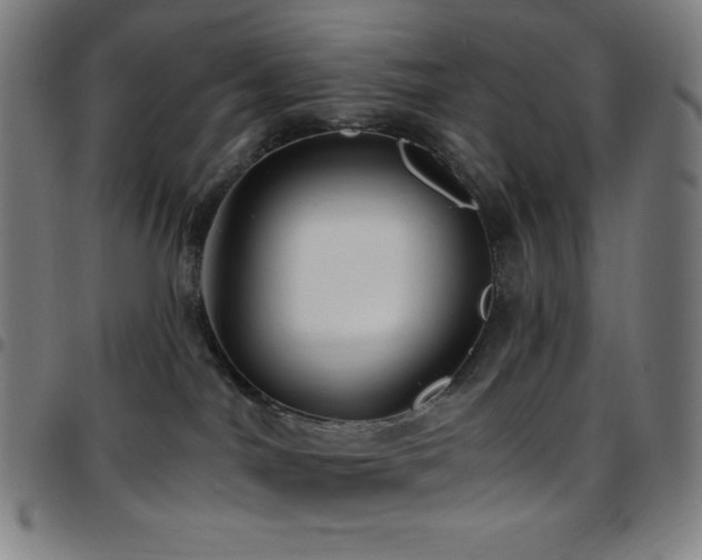 X0000097790044200803071422