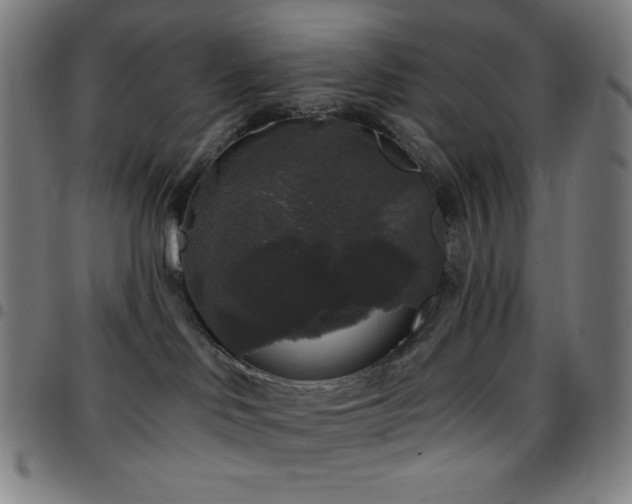 X0000097790046200803071422