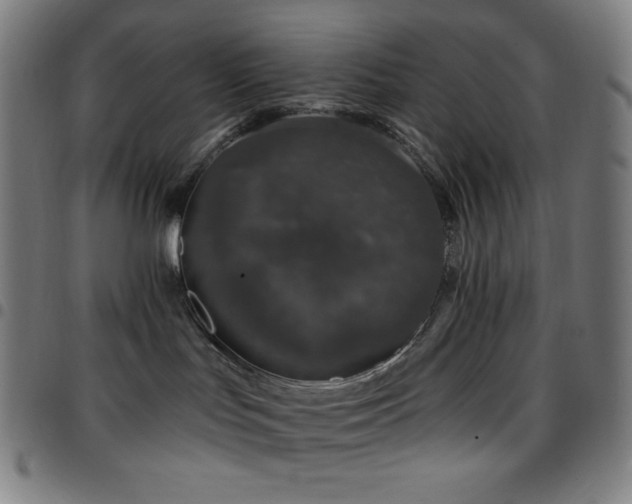 X0000097790047200803071422