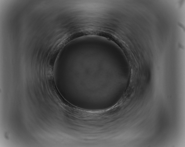 X0000097790048200803071422
