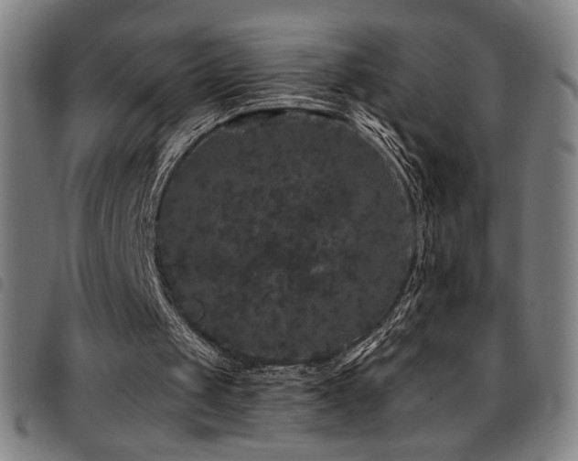 X0000097790049200803071421