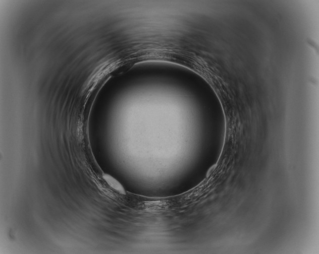 X0000097790050200803071421