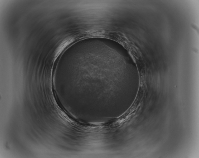 X0000097790052200803071421