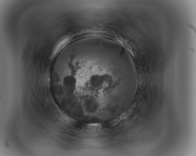 X0000097790053200803071421